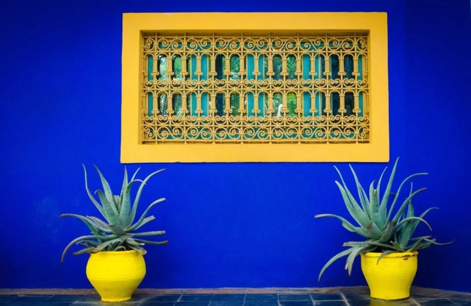 Majorelle Garden Wall