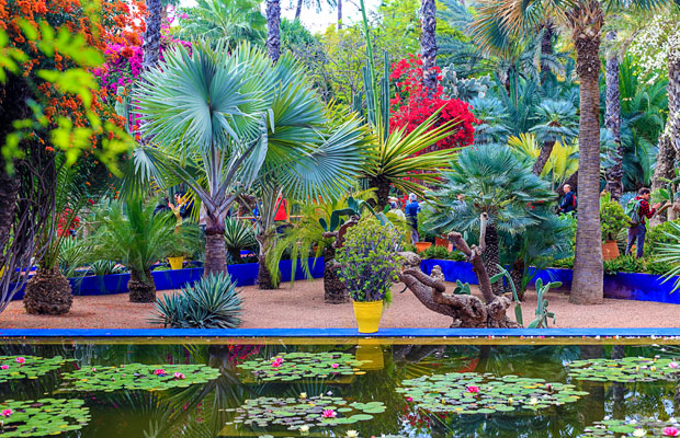Majorelle Garden